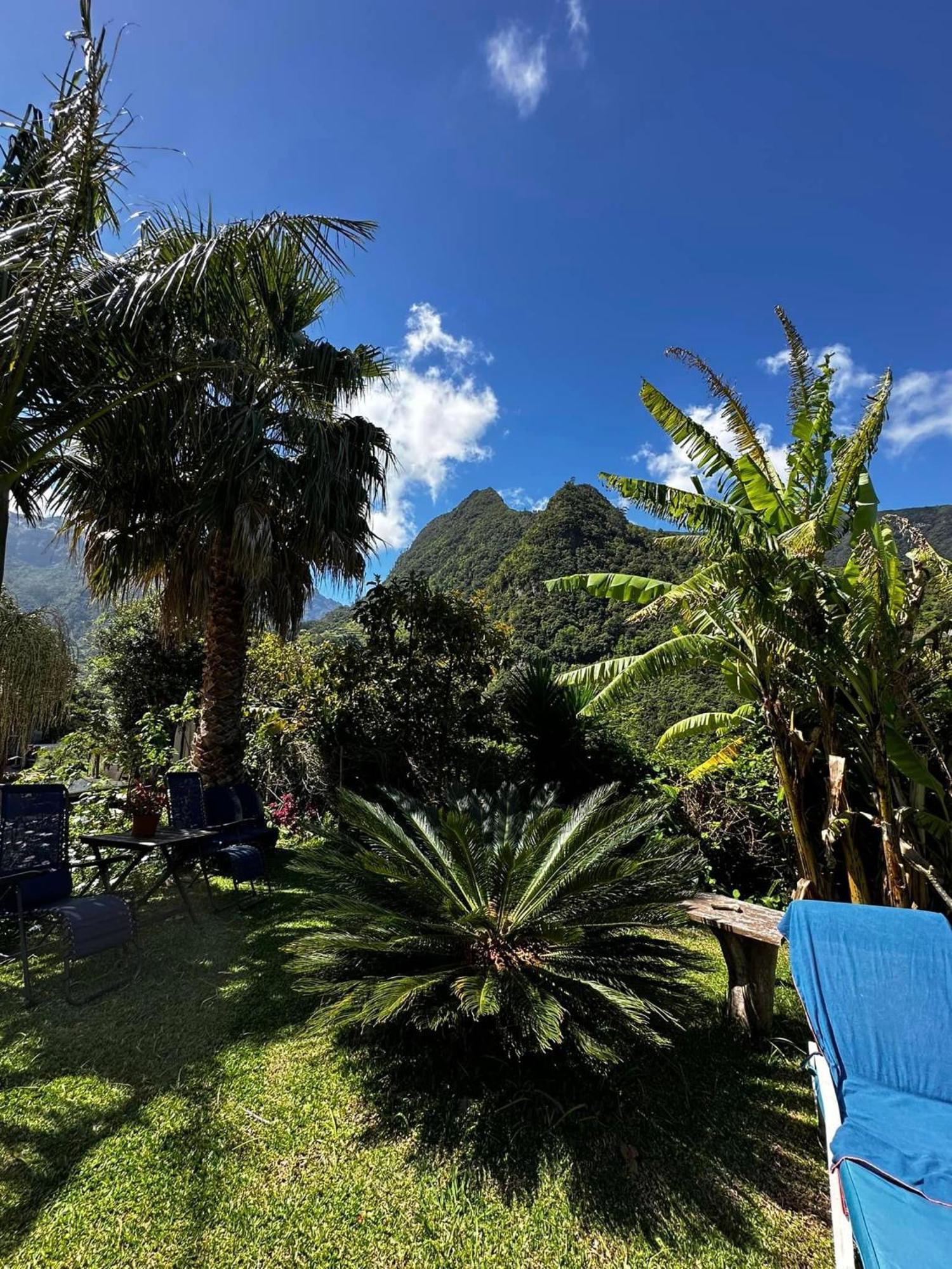 Bed and Breakfast Maderedocevida Boaventura Exterior foto