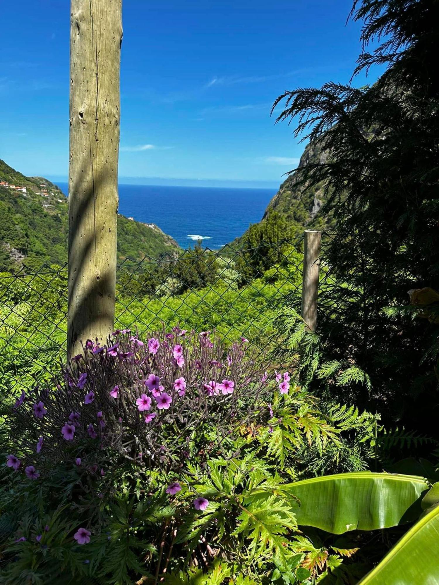 Bed and Breakfast Maderedocevida Boaventura Exterior foto